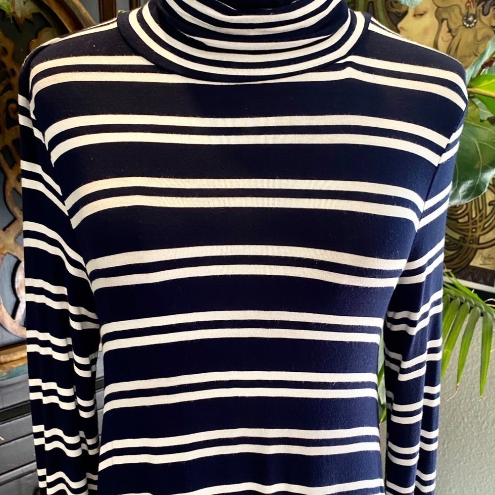 Anthropologie Turtleneck Swing Dress - Picture 10 of 14